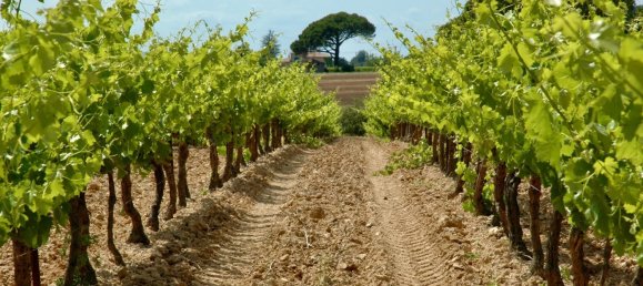 Propriété commerciale à Aix-en-Provence, France 1000m² No. 816 2