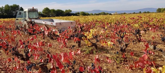 Propriété commerciale à Aix-en-Provence, France 1000m² No. 816 3