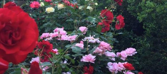 Casa T6 em Curacavi, Chile N.º 5710 3