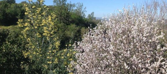 Casa T6 em Curacavi, Chile N.º 5710 7