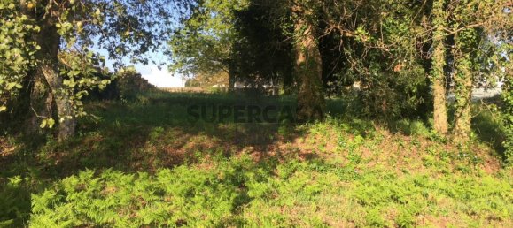 400m² Land in Oliveira de Azemeis, Portugal No. 163274 4