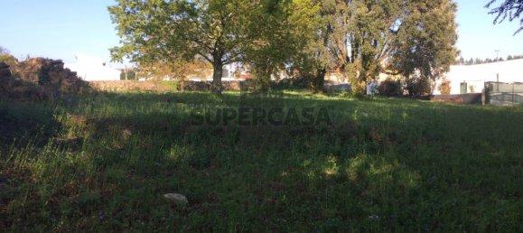 400m² Land in Oliveira de Azemeis, Portugal No. 163274 7