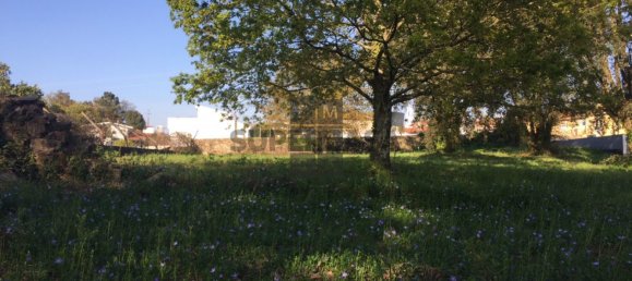 400m² Land in Oliveira de Azemeis, Portugal No. 163274 3