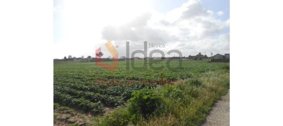 59880m² Land in Montijo, Portugal No. 43555 5