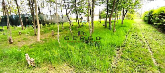 4غرفة منزل في Pramaggiore, Italy رقم 132499 13