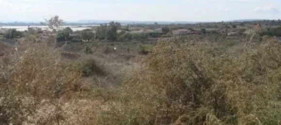 Terrain à Alicante, Spain 3440m² No. 135774 9