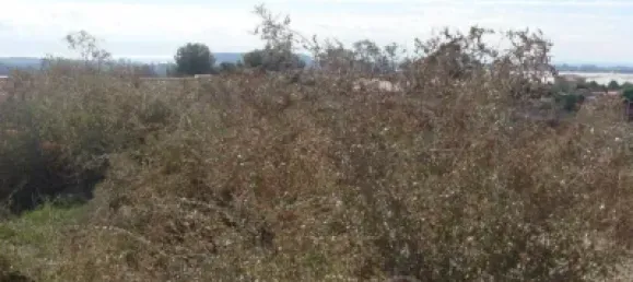 Terrain à Alicante, Spain 3440m² No. 135774 10