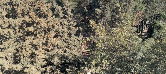 8 bedrooms Apartment in San Marzano di San Giuseppe, Italy No. 327230 34