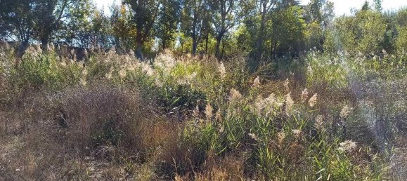 Grundstück in Siena, Italy 14232m², Nr. 35557 19