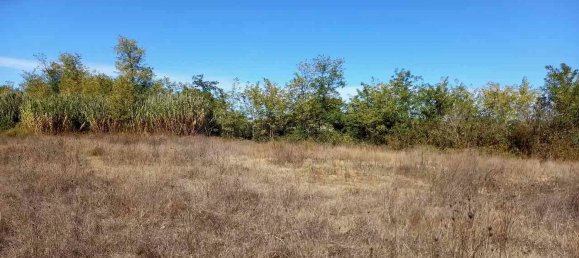 Grundstück in Siena, Italy 14232m², Nr. 35557 21