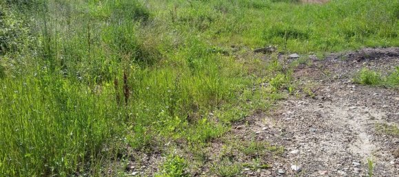 Grundstück in Siena, Italy 14232m², Nr. 35557 16