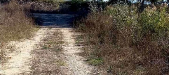 Grundstück in Siena, Italy 14232m², Nr. 35557 20