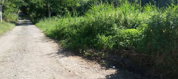 Grundstück in Siena, Italy 14232m², Nr. 35557 8