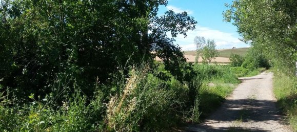 Grundstück in Siena, Italy 14232m², Nr. 35557 15