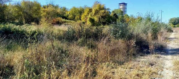 Grundstück in Siena, Italy 14232m², Nr. 35557 18