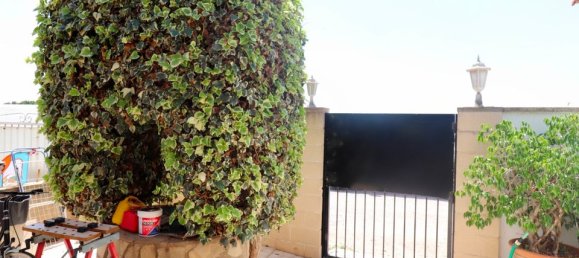 Вилла с 4 спальнями в Альморади, Испания № 185164 21