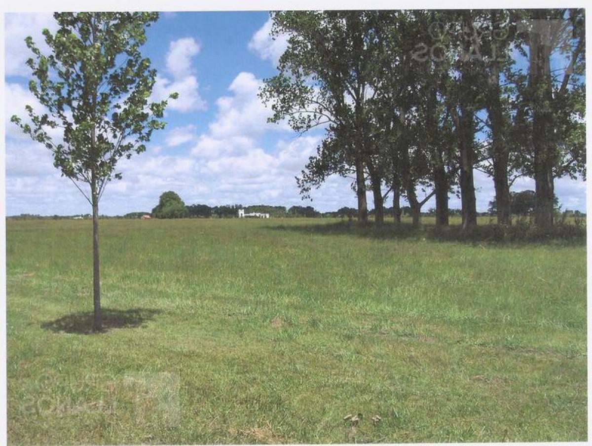  Land in Buenos Aires, Argentina No. 115458