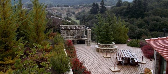 4 bedrooms Commercial property in Amfikleia-Elateia, Greece No. 7501 2