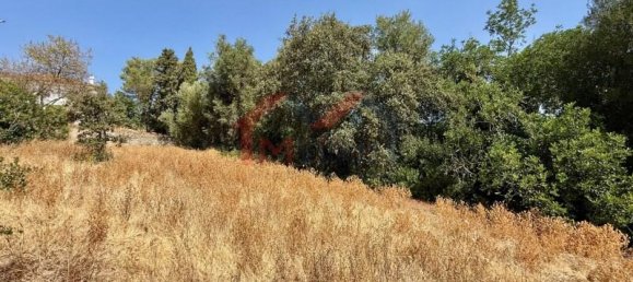1300m² Land in Sao Bras de Alportel, Portugal No. 297001 4