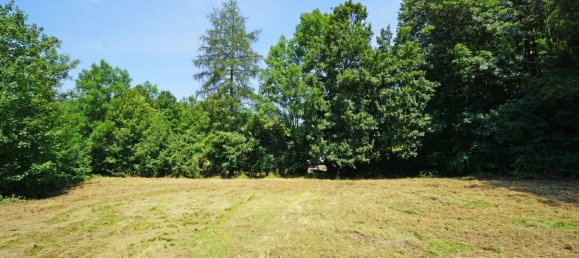 Terreno en Pressbaum, Austria No. 26041 7