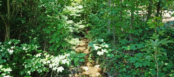 Terreno en Pressbaum, Austria No. 26041 2