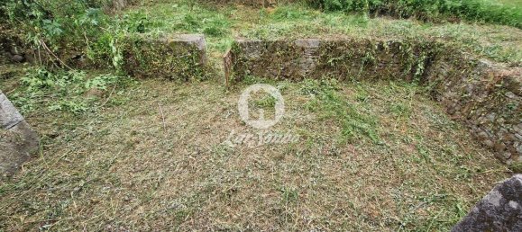 3 Schlafzimmer Haus in Santo Tirso, Portugal, Nr. 42053 13