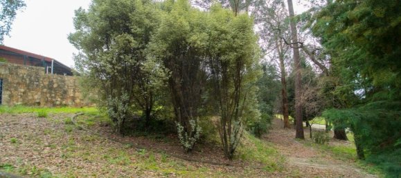 9 bedrooms House in Oliveira de Azemeis, Portugal No. 72030 52