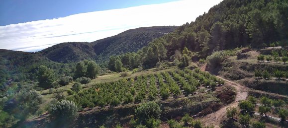 Земельный участок в Орба, Испания № 8380 11