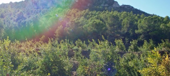 Земельный участок в Орба, Испания № 8380 2