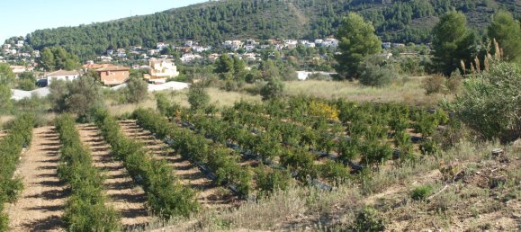 Земельный участок в Орба, Испания № 8380 5