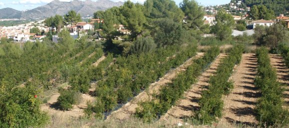 Земельный участок в Орба, Испания № 8380 6