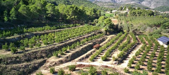 Земельный участок в Орба, Испания № 8380 7