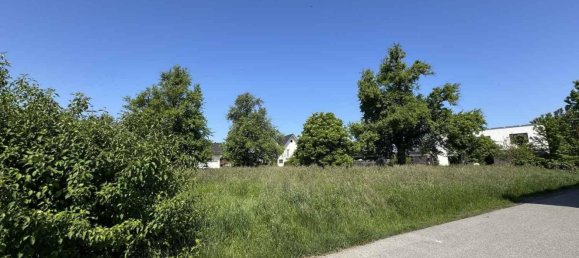  Land in Hochst, Austria No. 162329 3