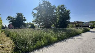  Land in Hochst, Austria No. 162329