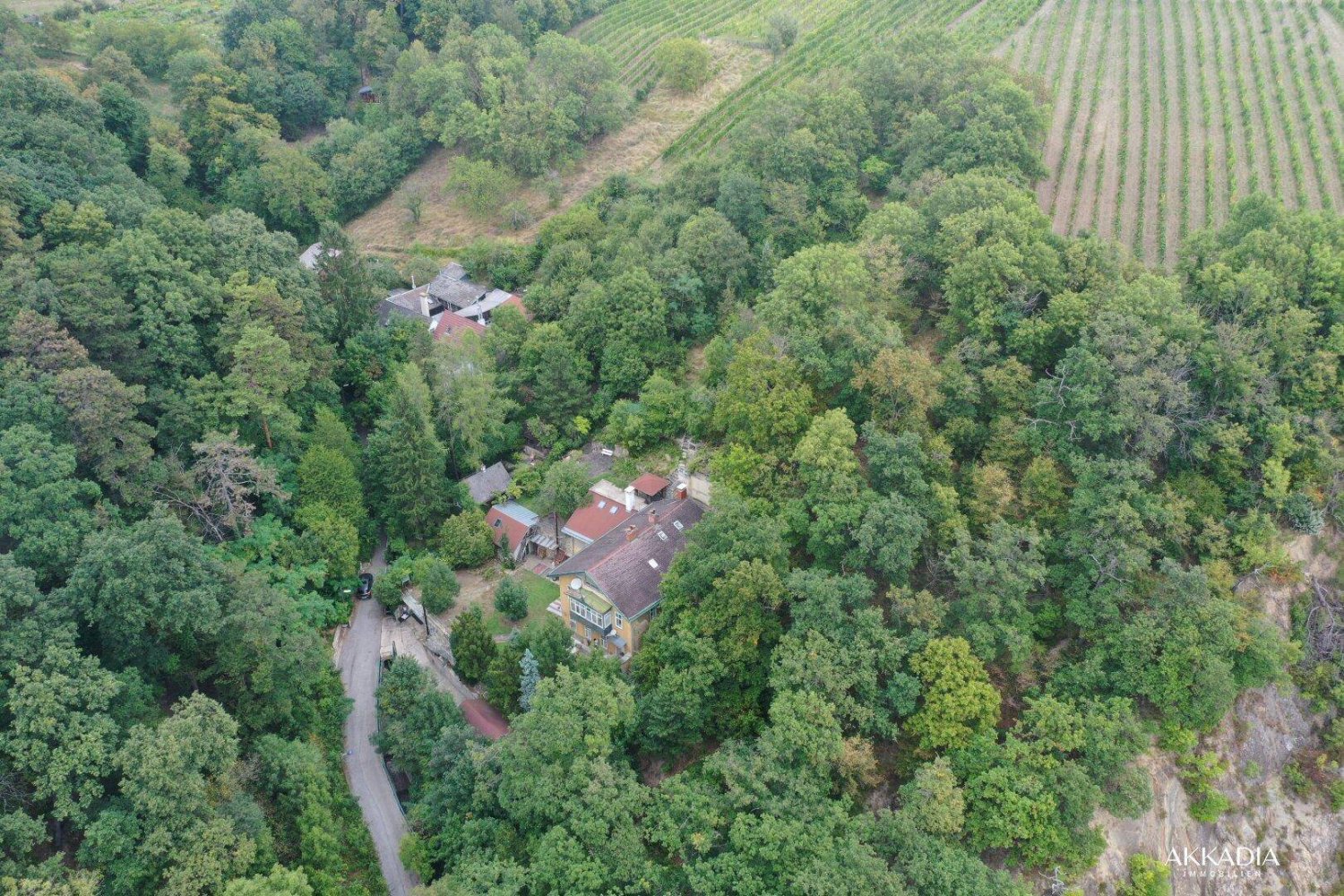 11 rooms House in Dobling, Austria No. 237418