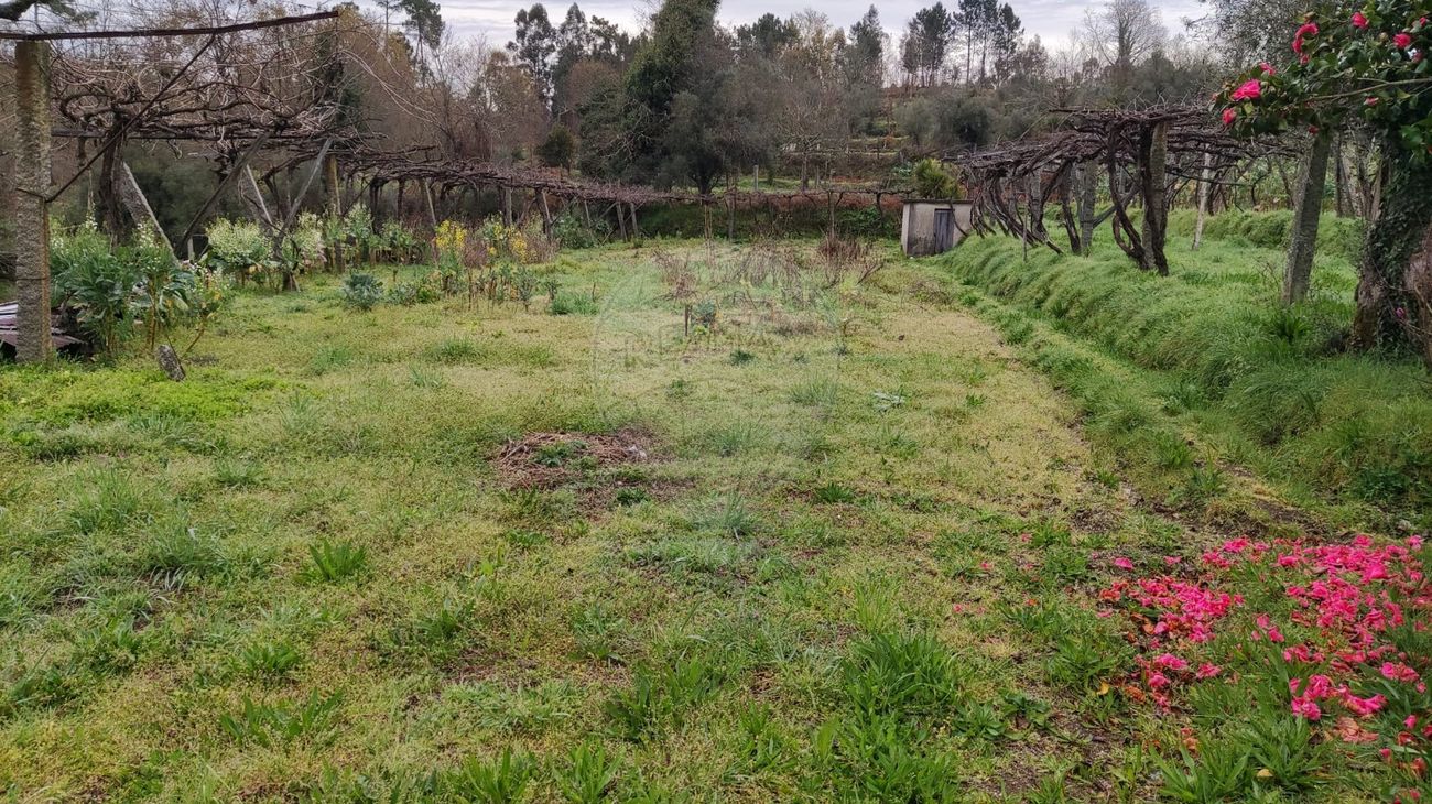 3850m² Land in Lavradas, Portugal No. 58513