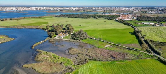 9 bedrooms Castles in Moita, Portugal No. 145795 24