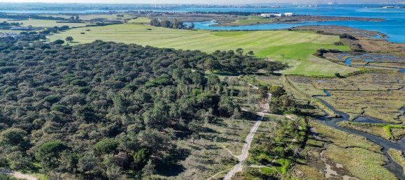 9 bedrooms Castles in Moita, Portugal No. 145795 13