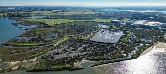 9 bedrooms Castles in Moita, Portugal No. 145795 30