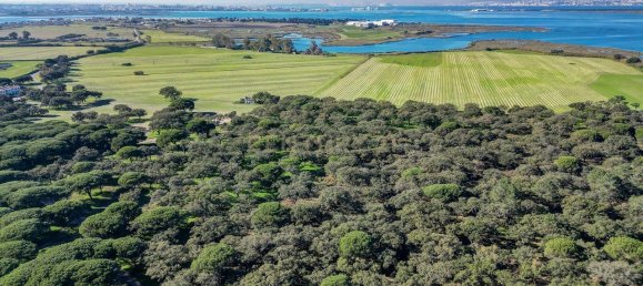 9 bedrooms Castles in Moita, Portugal No. 145795 12