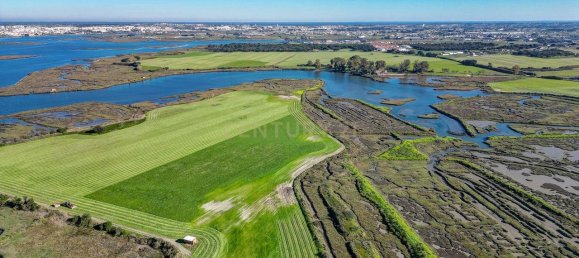 9 bedrooms Castles in Moita, Portugal No. 145795 29