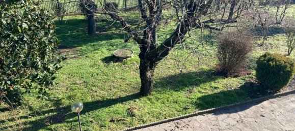 8 rooms Villa in Alessandria, Italy No. 23913 10