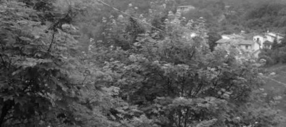 3 rooms Apartment in Arcidosso, Italy No. 156431 5