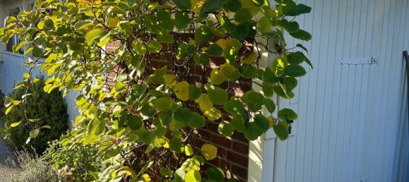 3-Zimmer Bungalow in Plön, Germany, Nr. 35683 7