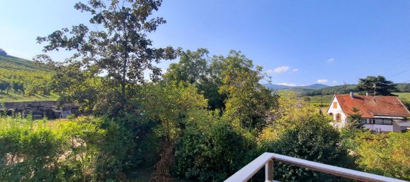 6 bedrooms House in Ingersheim, France No. 228767 8