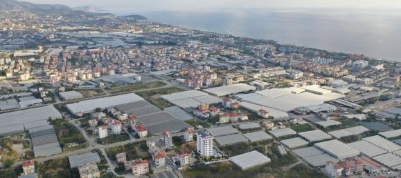 2-salle Appartement à Alanya, Turkey No. 11935 25