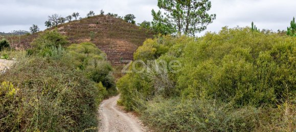  Castillos de 2 dormitorios en Sao Teotonio, Portugal No. 43948 21