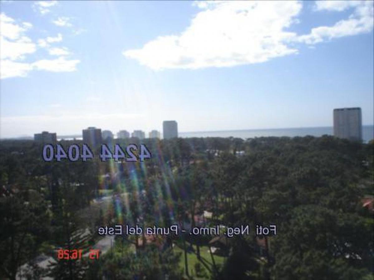 2 bedrooms Apartment in Punta del Este, Uruguay No. 8276