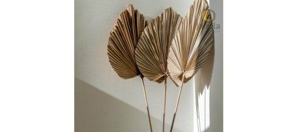 3 bedrooms House in Faro, Portugal No. 150583 24