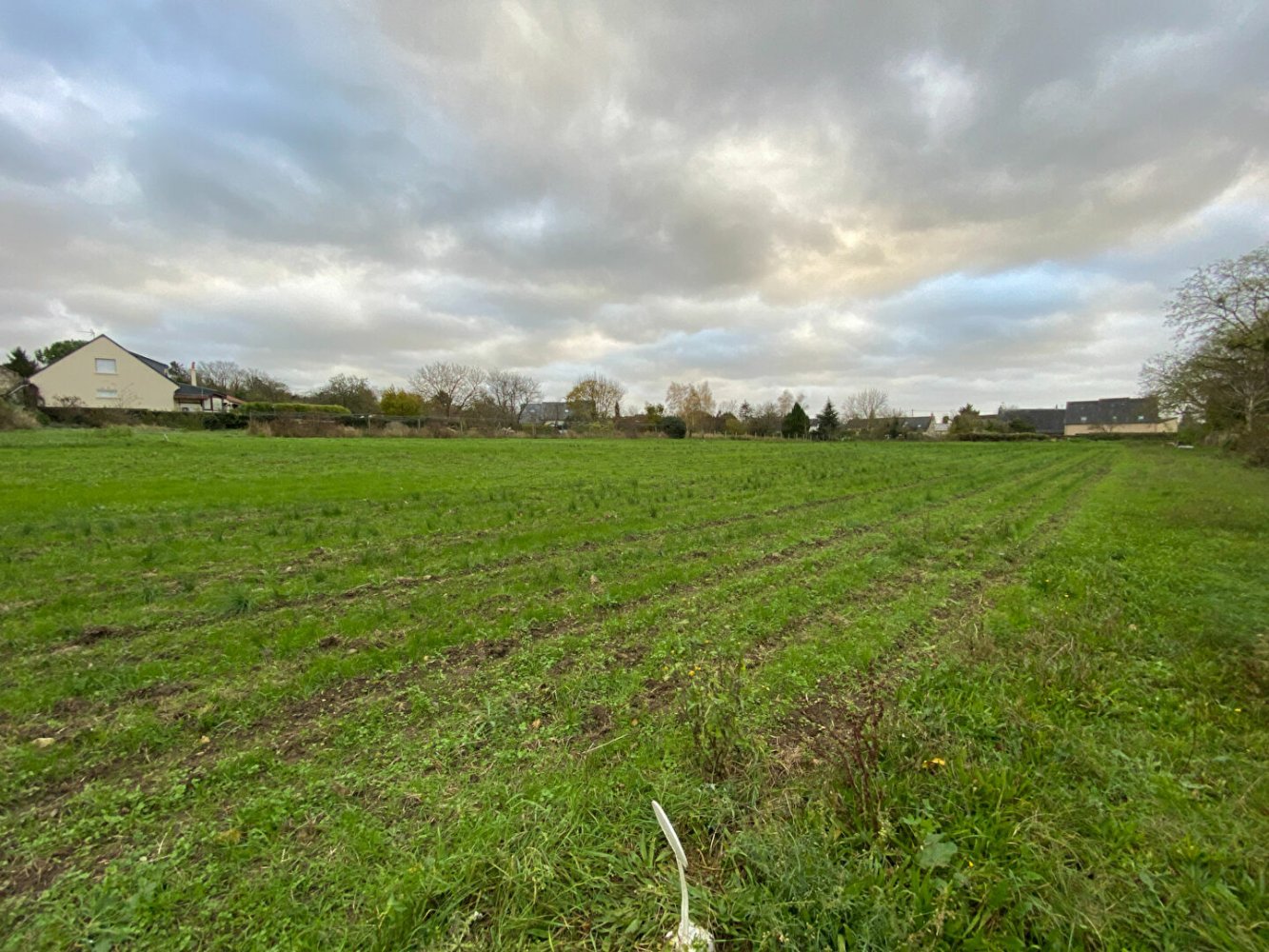  Land in Beaumont-en-Veron, France No. 158786